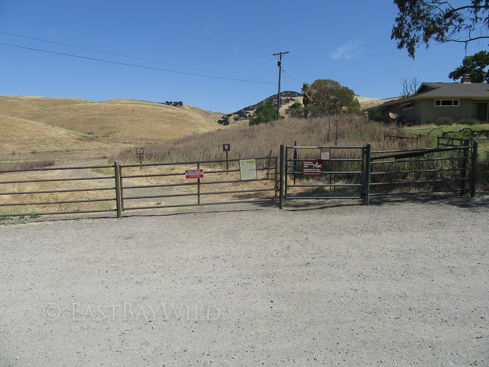brushy peak loop trail entrance cattle gate