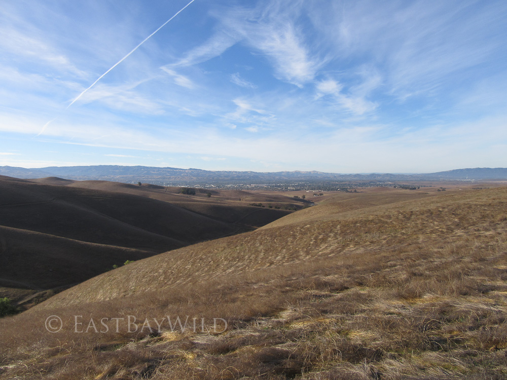 livermore valley view from brushy peak