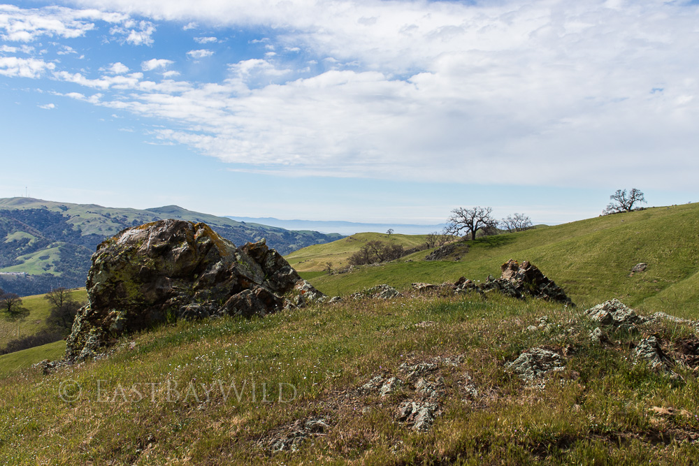 Bay view Ohlone Wilderness Trail