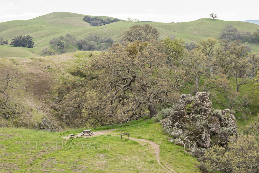 Eagles Aerie Sunol Backpack Camping