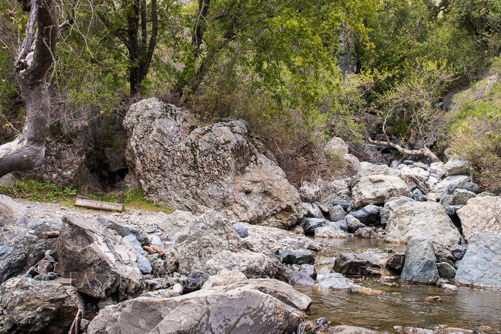 Sunol Backpackers Camp creek