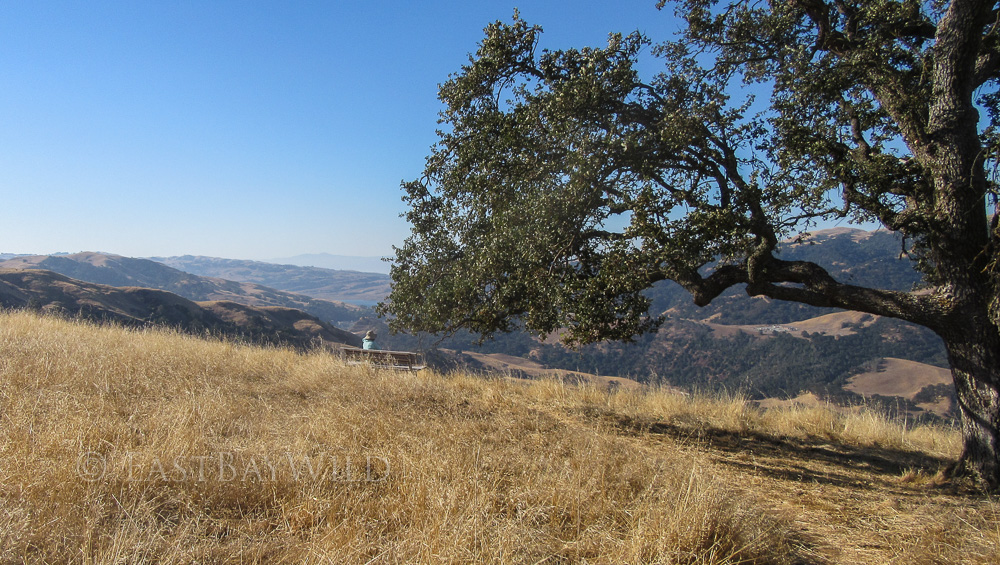 Eagle View Trail at Vista Grande Road