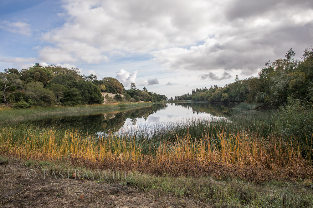 Fern Lake