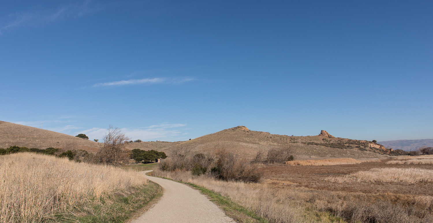 South Marsh Trail looking back towards Dairy Glen