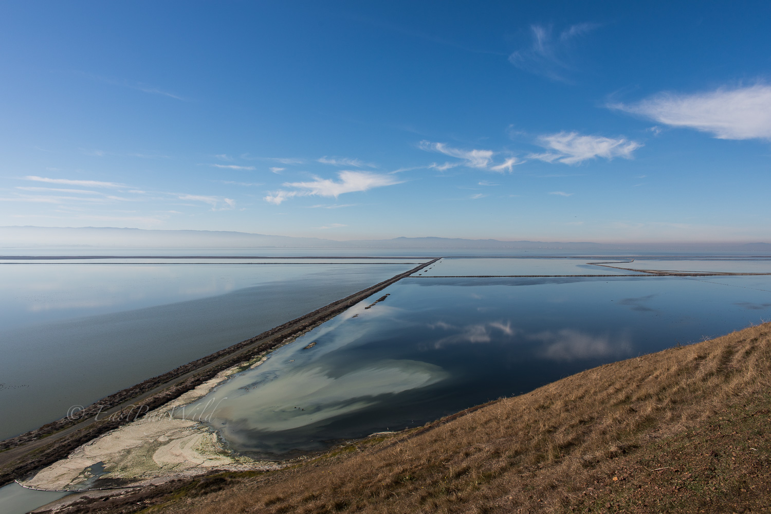 Salt Ponds