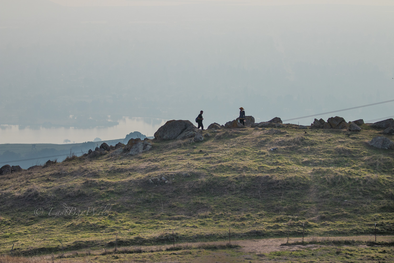 Rocky outcrop