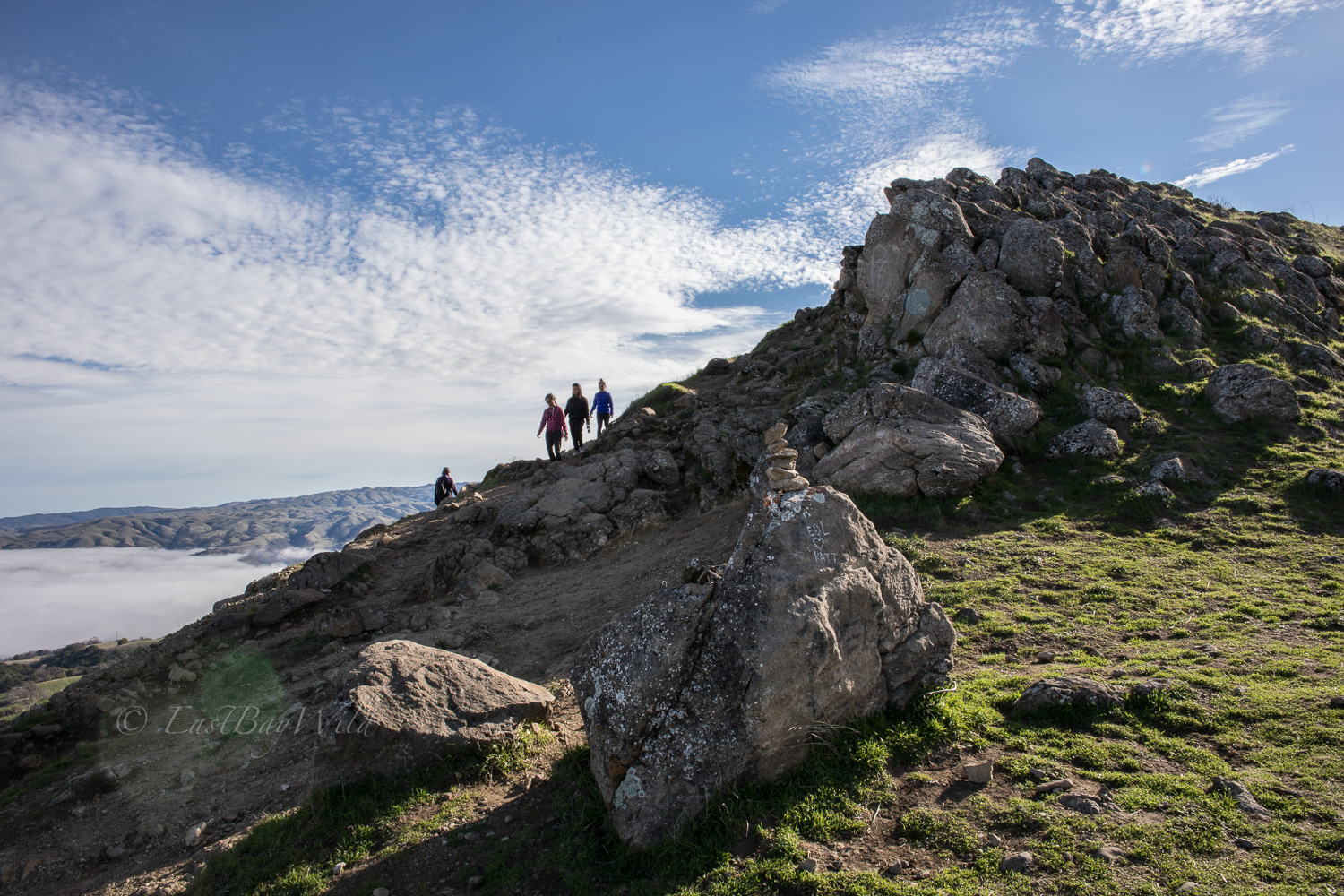 Mission Peak summit