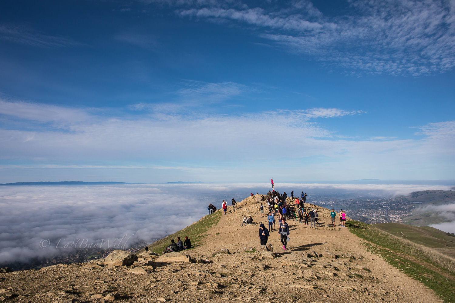 Mission Peak pole.