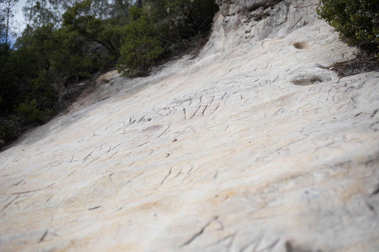 Sandstone etched with graffiti