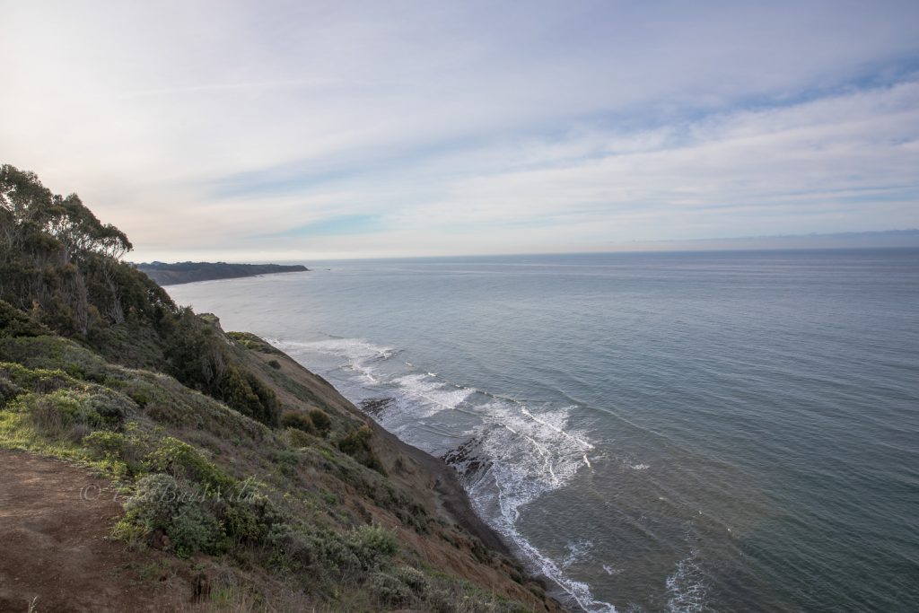 Pt Reyes Coastline