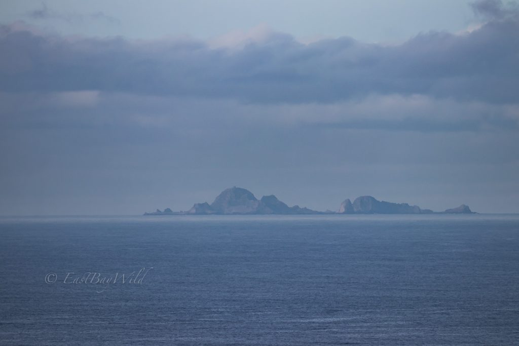 Farallon Islands