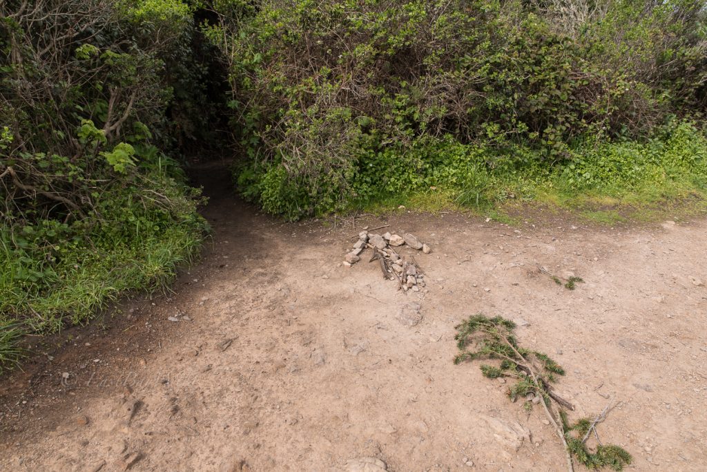 Alamere Falls Fork