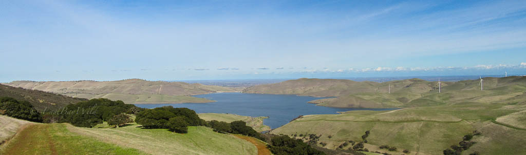 Los Vaqueros Reservoir