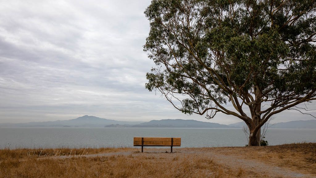 Point Pinole Regional Shoreline Hiking and Picnicking East Bay Wild!