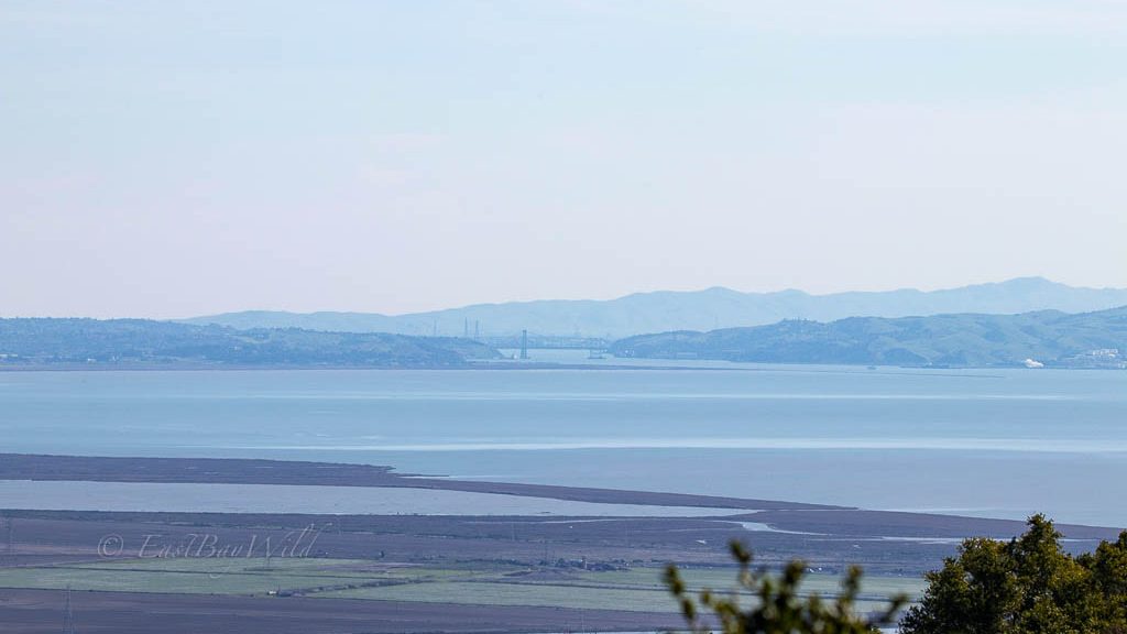 san pablo bay