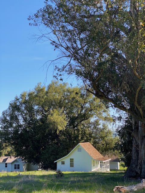 Burdell Buildings