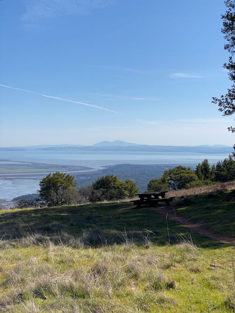 Mt Diablo from Olompali State Park