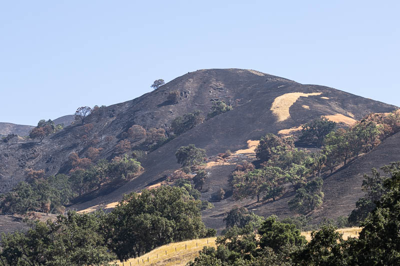 Sunol Regional Wilderness Burn Scar